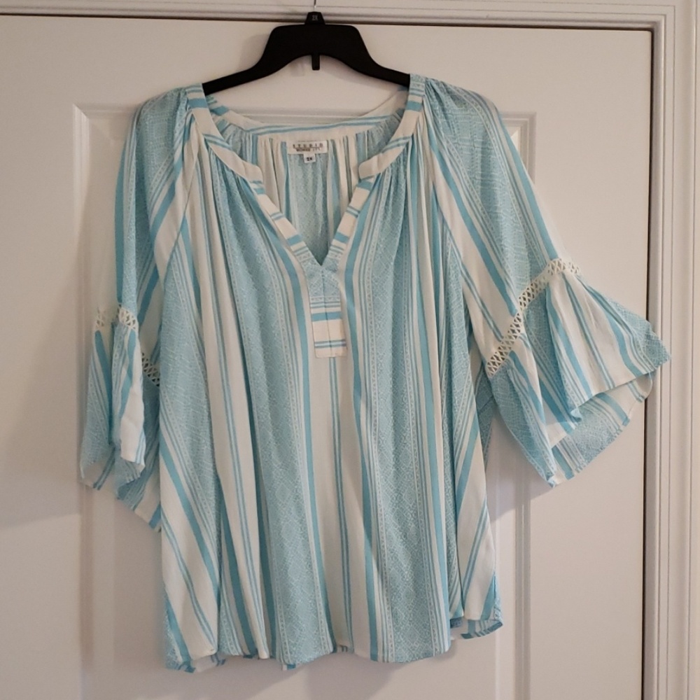 Plus Size V-neck Tunic